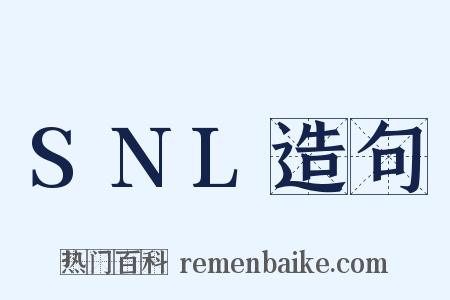 SNL造句是什么意思的图片